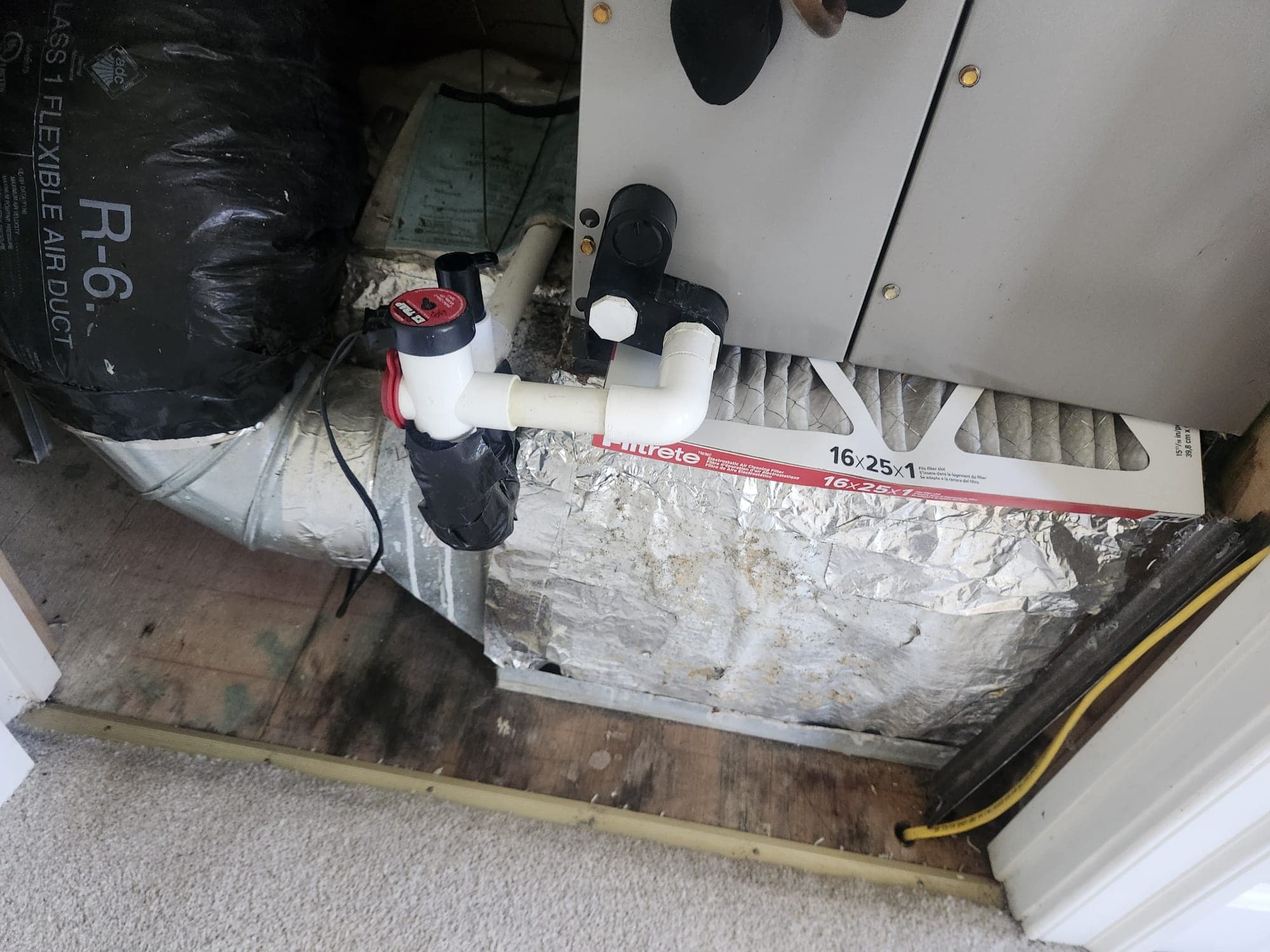 Professional cleaning result